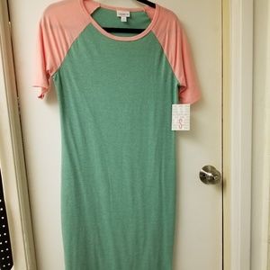 Lularoe Pink and Green Julia Dress